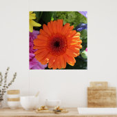 Zinnia Poster (Küche)