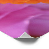 Zinnia Poster (Ecke)