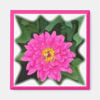 Zinnia star1 magnet