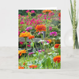 "Zinnias 1." Grußkarte Karte