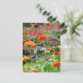"Zinnias 1." Postkarte (Stehend Vorderseite)