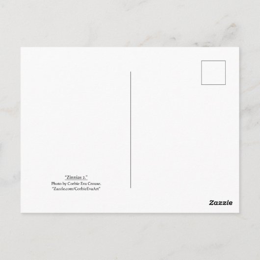 "Zinnias 2." Postkarte (Rückseite)