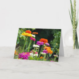 "Zinnias 5." Grußkarte Karte