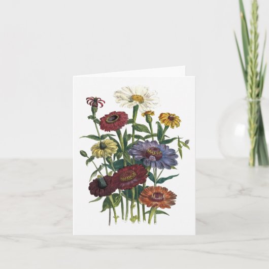 Zinnias-Aquarell-Raum-Anmerkungs-Karte Karte (Vorderseite)