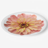 Zinnias Blume Naturfotografie Papier Pla Pappteller (Schrägansicht)