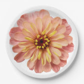 Zinnias Blume Naturfotografie Papier Pla Pappteller (Vorderseite)