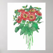 Zinnias Poster (Vorne)