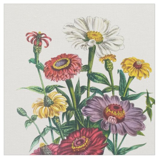 Zinnias Stoff (Nahaufnahme)