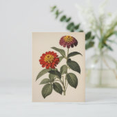 Zinnien-Illustration Postkarte (Stehend Vorderseite)