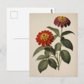 Zinnien-Illustration Postkarte (Vorne/Hinten)