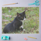 Zinnpapier Seidenpapier (Basteln)