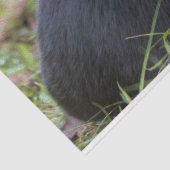 Zinnpapier Seidenpapier (Ausschnitt)