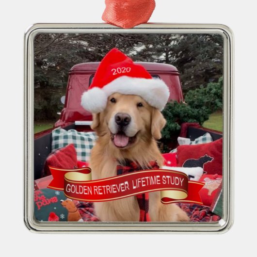 Zinnplatzierung 2020 ornament aus metall (Vorne)