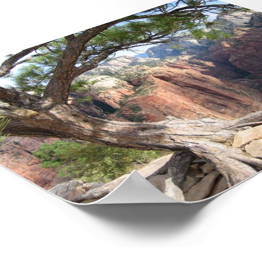 Zion - Angels Landing Poster (Ecke)