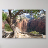 Zion - Angels Landing Poster (Vorne)
