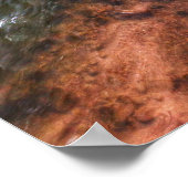 Zion Autumn Splendor Poster (Ecke)