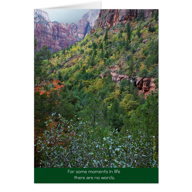 Zion Canyon: Bereavement (Vorne)