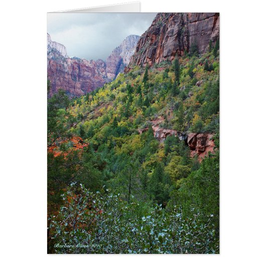 Zion Canyon Nationalpark (Vorne)