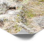 Zion Canyon Poster (Ecke)