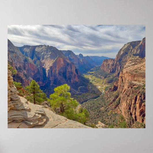 Zion Canyon | Utah Poster (Vorne)