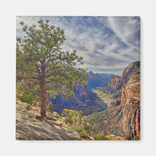 Zion Canyon View from Angels Landing Magnet