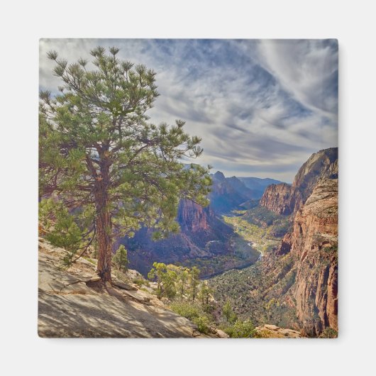 Zion Canyon View von Angels Landing Magnet (Vorne)