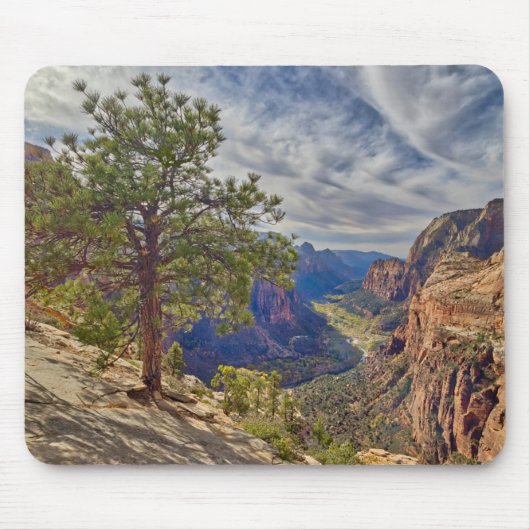 Zion Canyon View von Angels Landing Mousepad (Vorne)