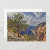 Zion Canyon View von Angels Landing Postkarte (Vorne/Hinten)