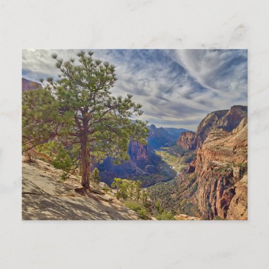 Zion Canyon View von Angels Landing Postkarte (Vorderseite)