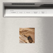 Zion Canyon Wall I Abstrakt Naturfotografie Magnet (In Situ (Geschirrspüler))