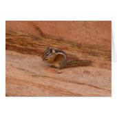 Zion Chipmunk auf Red Rocks (Vorderseite (Horizontal))