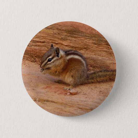 Zion Chipmunk auf Red Rocks Button (Vorderseite)