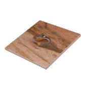 Zion Chipmunk auf Red Rocks Fliese (Seite)