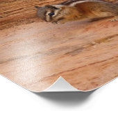 Zion Chipmunk auf Red Rocks Fotodruck (Ecke)