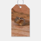 Zion Chipmunk auf Red Rocks Geschenkanhänger (Vorderseite)