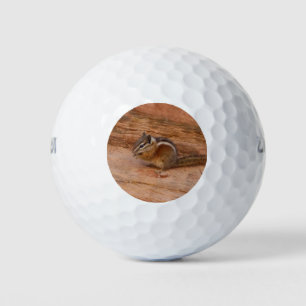 Zion Chipmunk auf Red Rocks Golfball