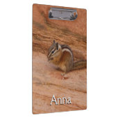 Zion Chipmunk auf Red Rocks Klemmbrett (Rechts)