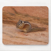 Zion Chipmunk auf Red Rocks Mousepad (Vorne)