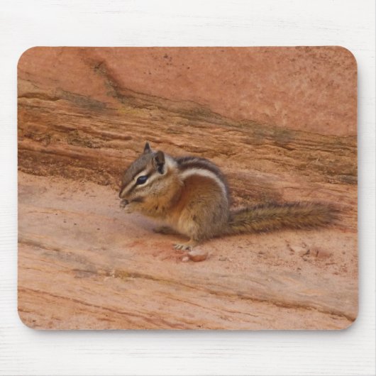 Zion Chipmunk auf Red Rocks Mousepad (Vorne)