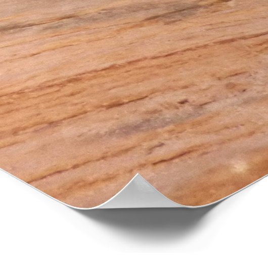 Zion Chipmunk auf Red Rocks Poster (Ecke)