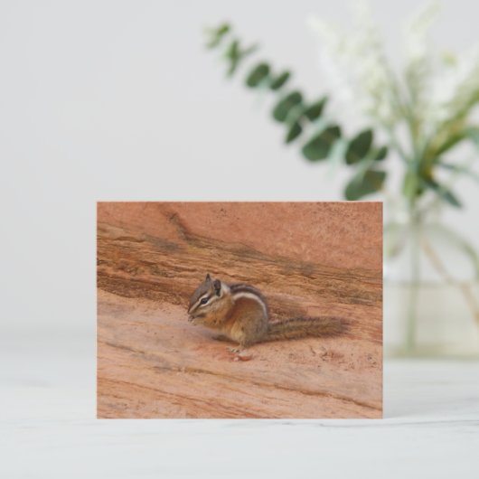Zion Chipmunk auf Red Rocks Postkarte (Stehend Vorderseite)