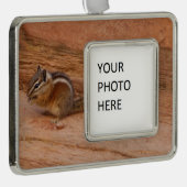 Zion Chipmunk auf Red Rocks Rahmen-Ornament Silber (Rechts)