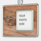 Zion Chipmunk auf Red Rocks Rahmen-Ornament Silber (Links)