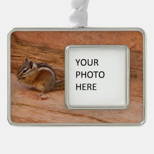 Zion Chipmunk auf Red Rocks Rahmen-Ornament Silber (Vorderseite)