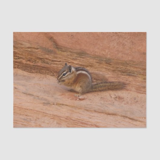 Zion Chipmunk auf Red Rocks Seidenpapier (Vorderseite)