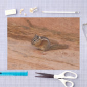 Zion Chipmunk auf Red Rocks Seidenpapier (Handwerk)