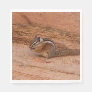 Zion Chipmunk auf Red Rocks Serviette
