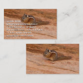 Zion Chipmunk auf Red Rocks Visitenkarte (Vorne/Hinten)