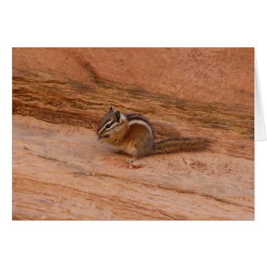 Zion Chipmunk auf roten Felsen (Vorderseite (Horizontal))