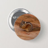 Zion Chipmunk auf roten Felsen Button (Vorne & Hinten)